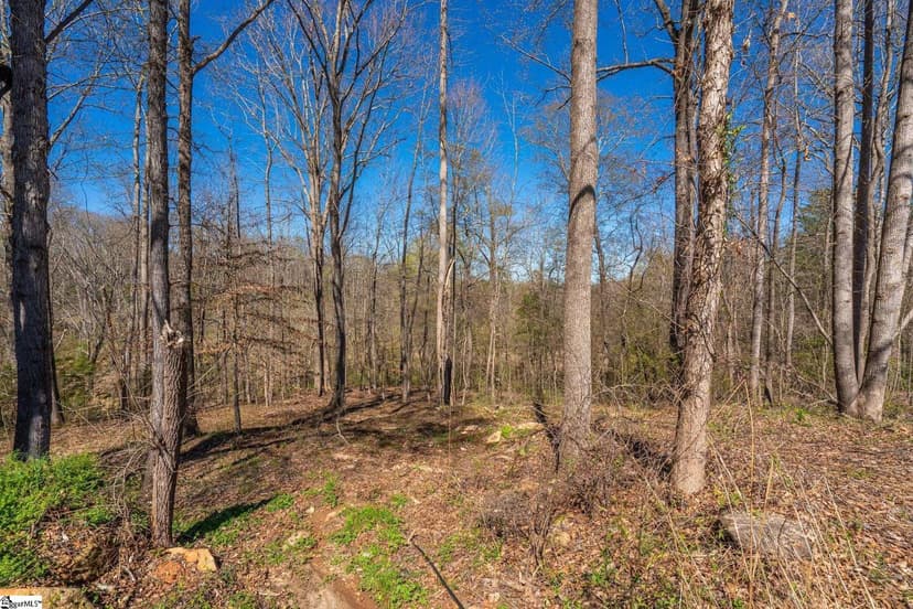 Vacant Land in Spartanburg