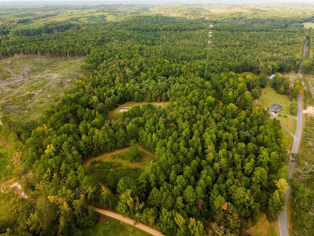 Neshoba County 17 Acres - Union, Mississippi, 39365
