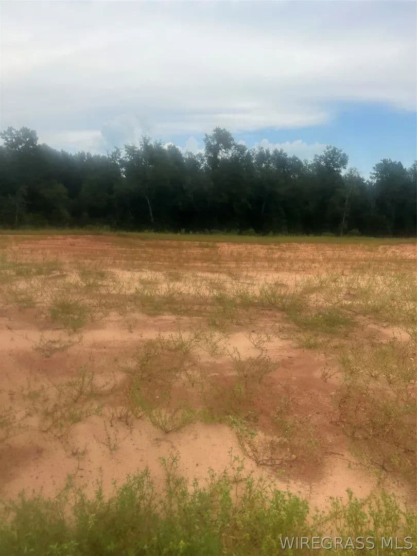 Vacant Land in Enterprise - Enterprise, Alabama, 36330