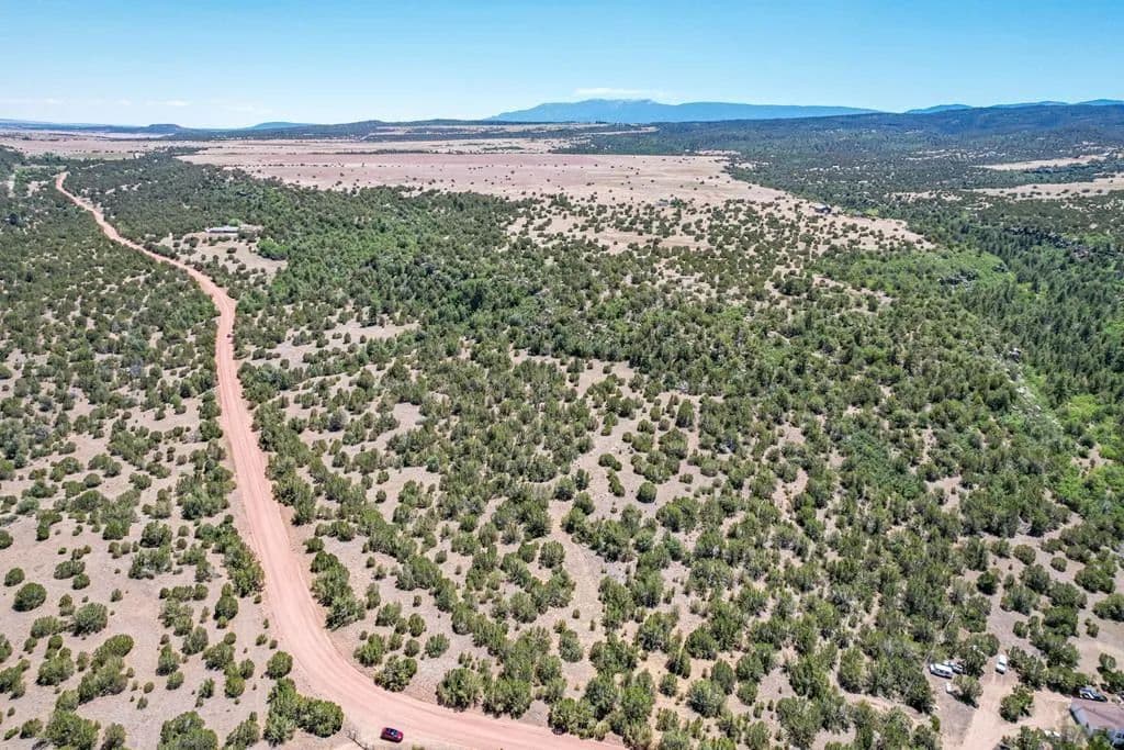 40 Acres of Land for Sale in Beulah, CO - Beulah, Colorado, 81023
