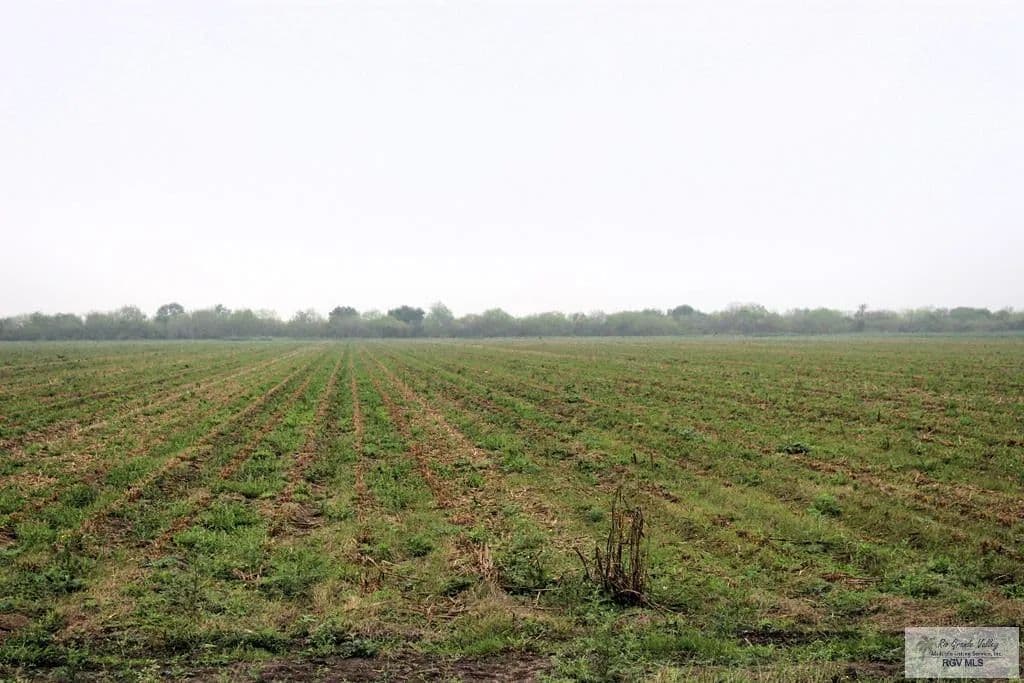 Property from 00 FM 2556 - KW - Santa Rosa, Texas, 78593