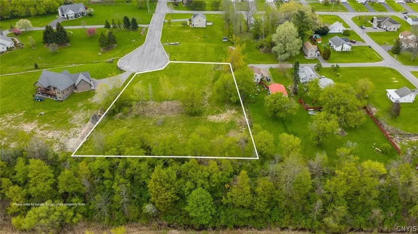 Property from Will New Boulevard - KW