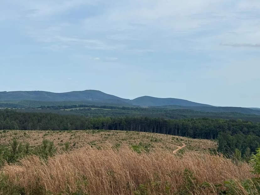 Property from 4040 Norwood Road - KW