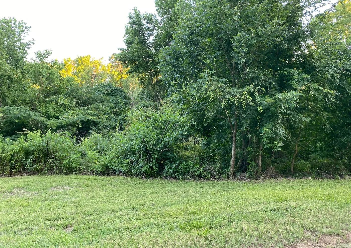 0.19 Acres of Land for Sale in Point Blank, TX - land for sale
