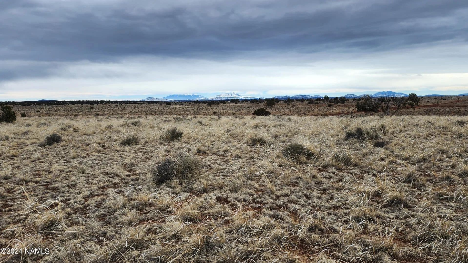 Vacant Land (10+ Acres) in Williams - Williams, Arizona, 86046