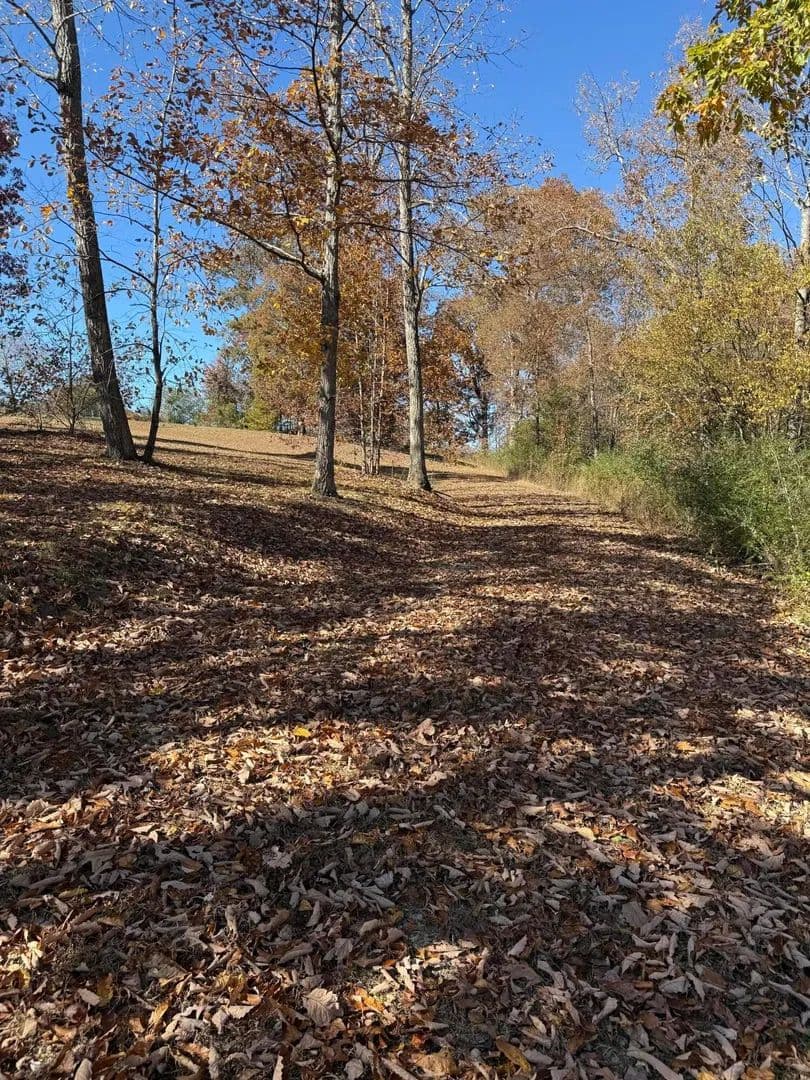 Lots & Land-Other in Trenton