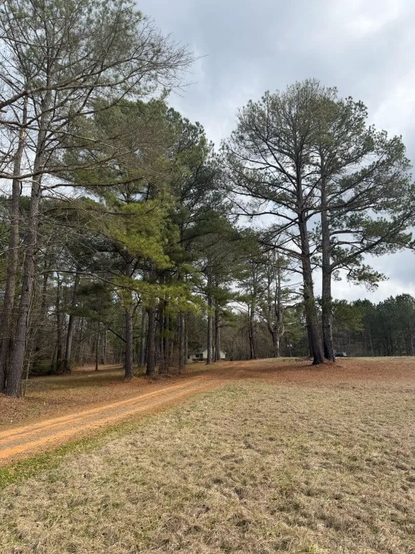 Home on 6 Acres in Leake County, MS 