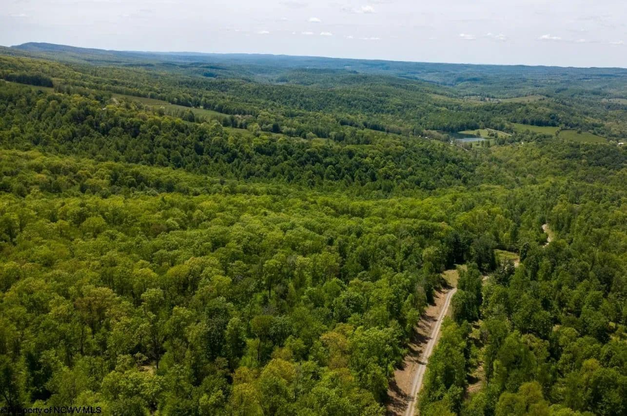 610.9 Acres of Land for Sale in Belington, West Virginia - Belington, West Virginia, 26250