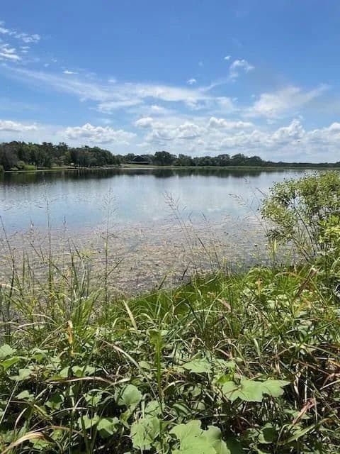 Vacant Land in Bluff Dale - Bluff Dale, Texas, 76433