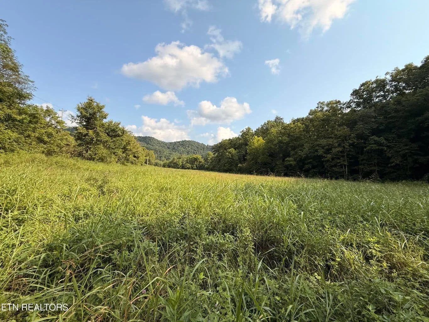 Land -Single Family Acreage in Blackwater - Blackwater, Virginia, 24221