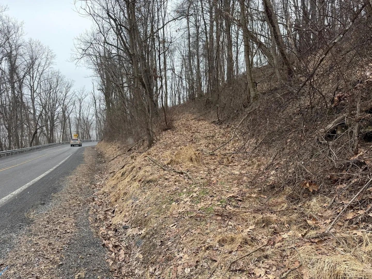 Lots & Land-Other in Renick - Renick, West Virginia, 24966