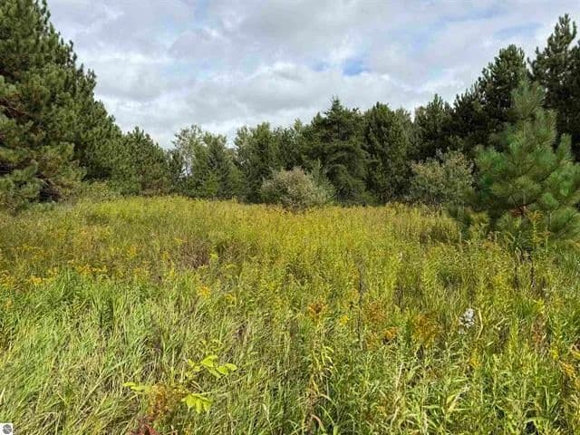 Vacant Land in Leroy - Leroy, Michigan, 49655