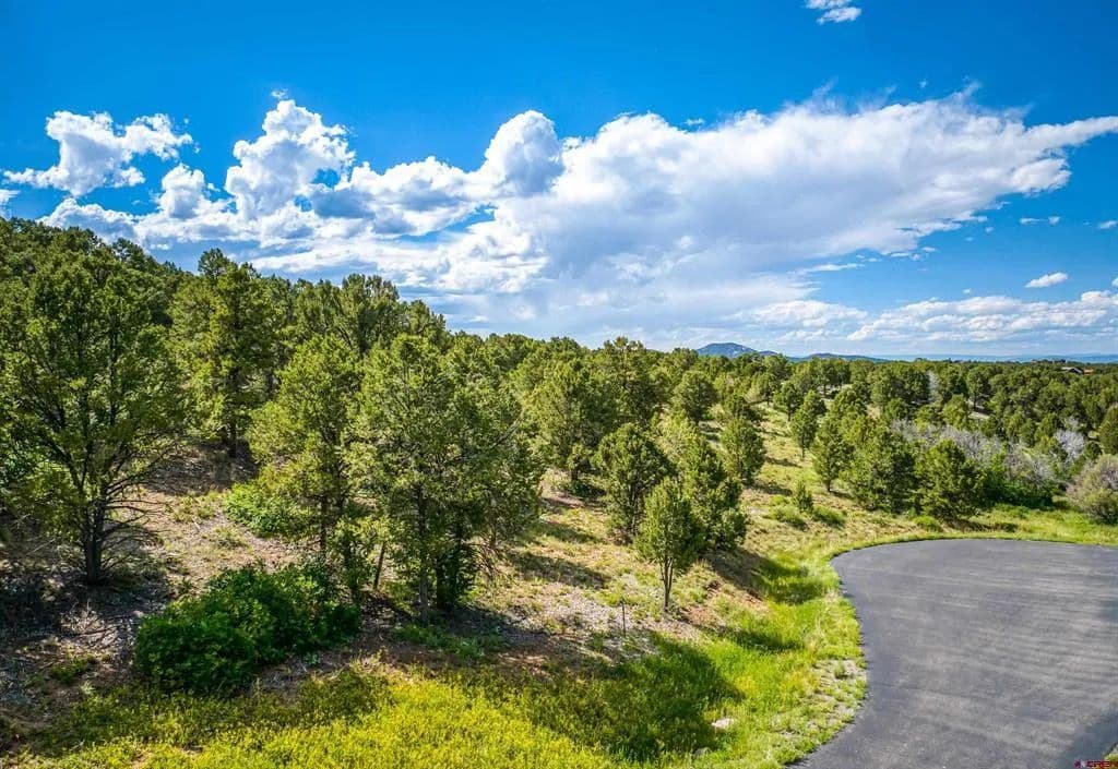 1 Acre of Land for Sale in Ridgway, CO - Ridgway, Colorado, 81432