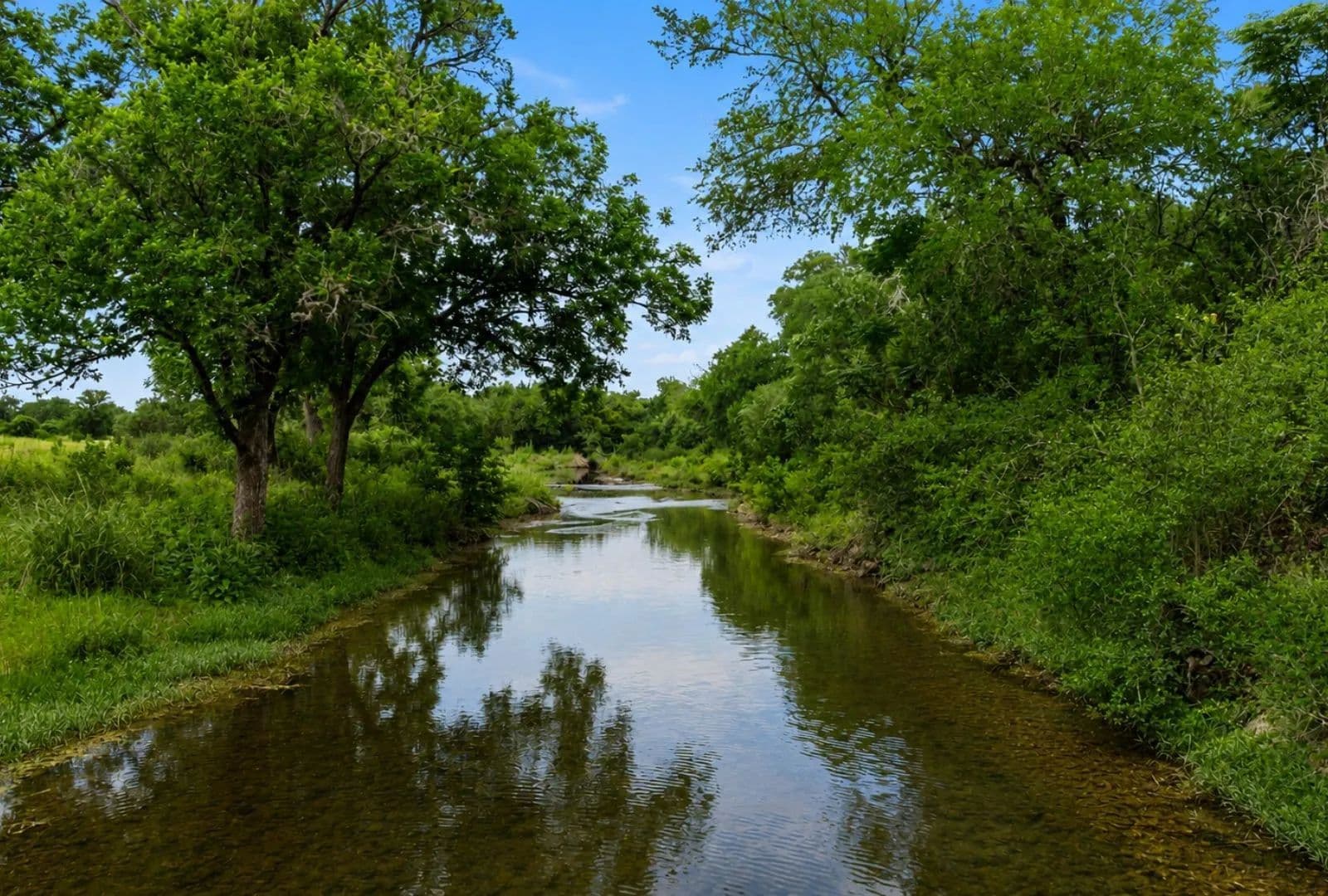 45 Acres of Land for Sale in Austin, TX - Austin, Texas, 78737