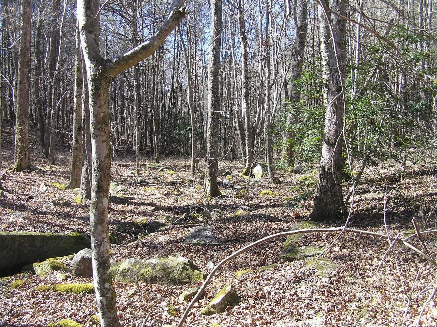 Land -Agricultural (Not Zoned) in Spencer - Spencer, Tennessee, 38585