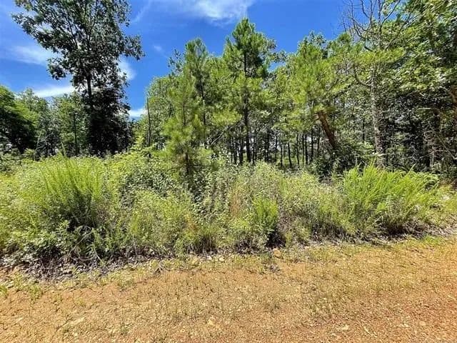 Lots & Land-Other in Peggs - Peggs, Oklahoma, 74452