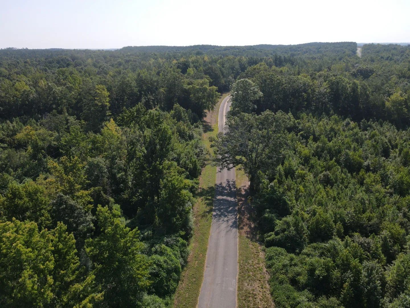 163 Acres in Yalobusha County, MS  - Coffeeville, Mississippi, 38922