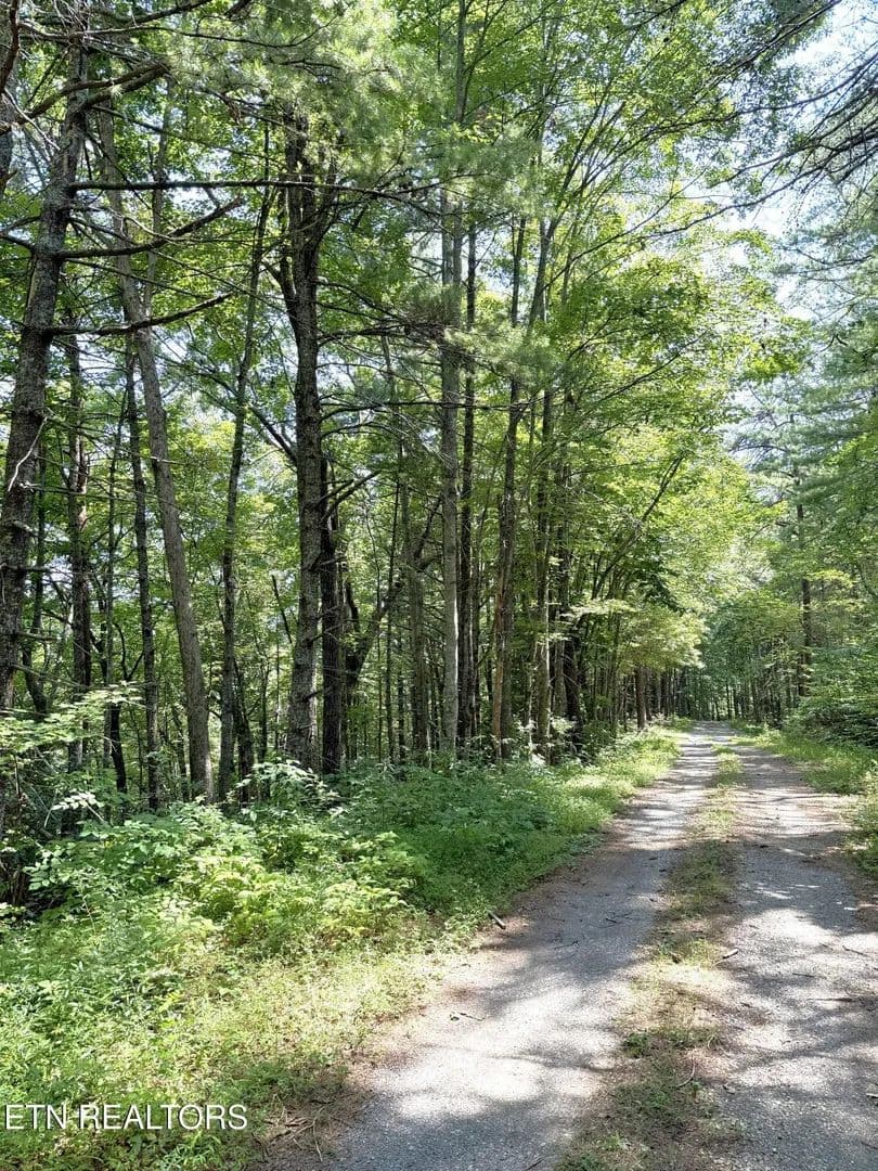 Vacant Land in Walland - Walland, Tennessee, 37886