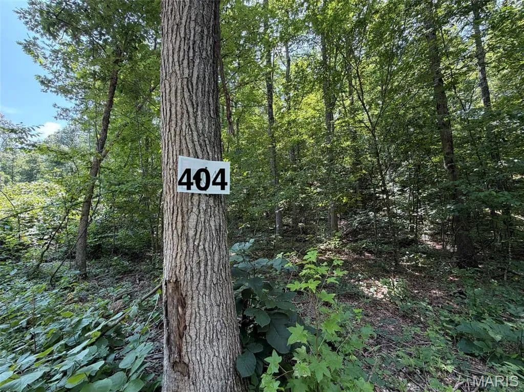 Lots & Land-Other in Fredericktown - Fredericktown, Missouri, 63645