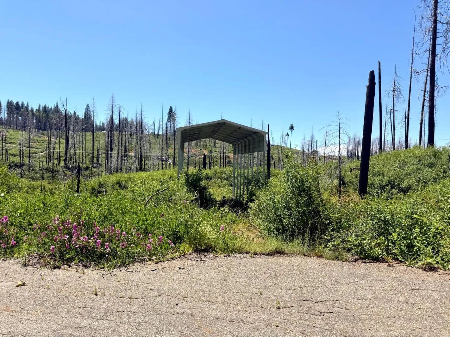 Property from 5110 Evergreen Drive - KW - , California, 95636