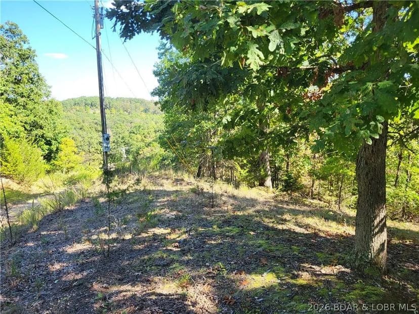 Lots & Land-Other in Gravois Mills