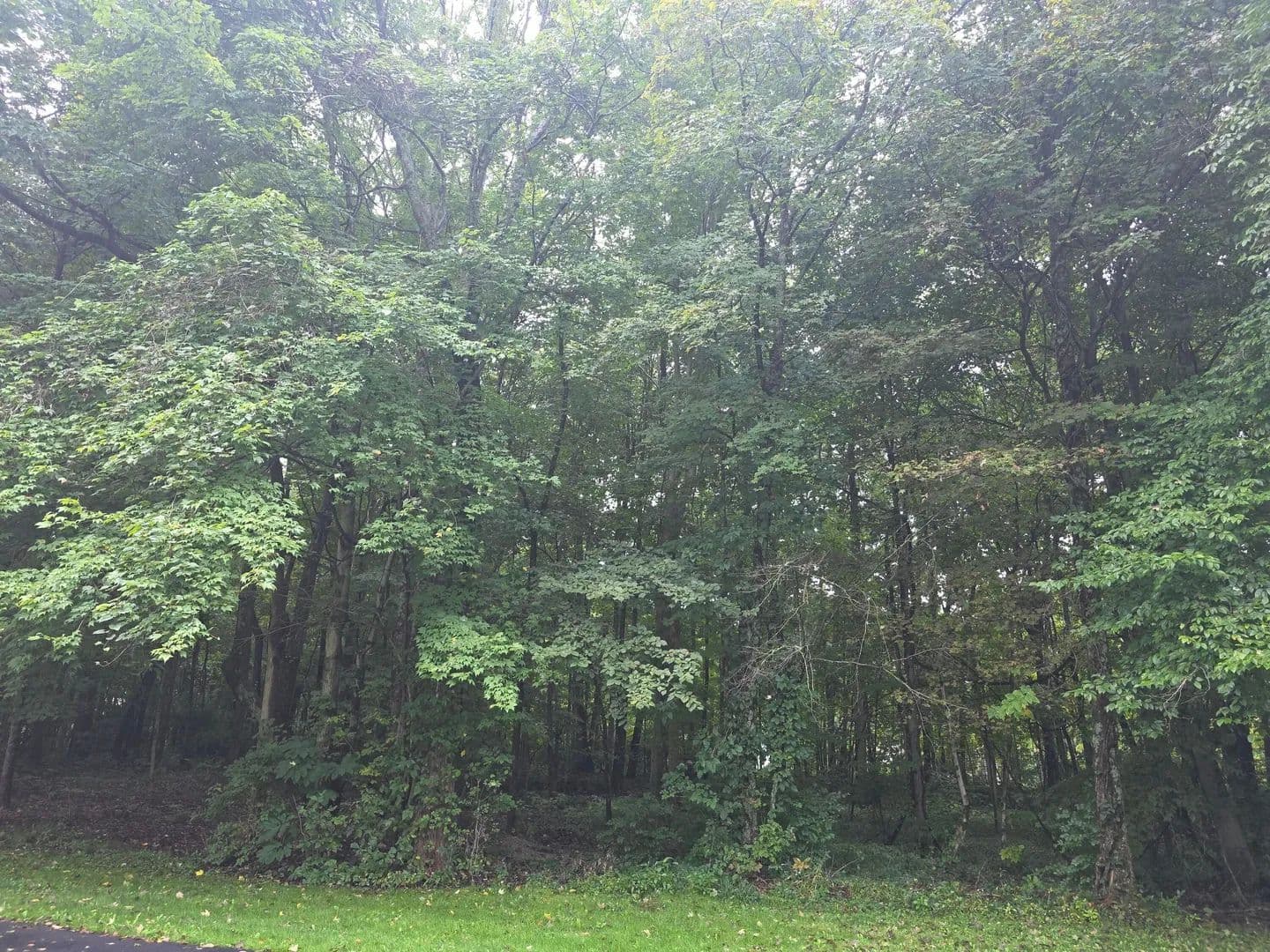 Lots & Land-Other in Edison - Edison, Ohio, 43320