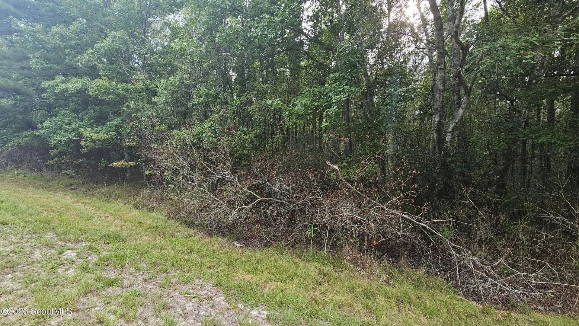 Lots & Land-Other in Townsend - Townsend, Georgia, 31331