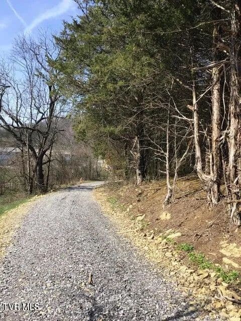 Property from 8.24 Ac West Andrew Johnson - KW - Bulls Gap, Tennessee, 37711