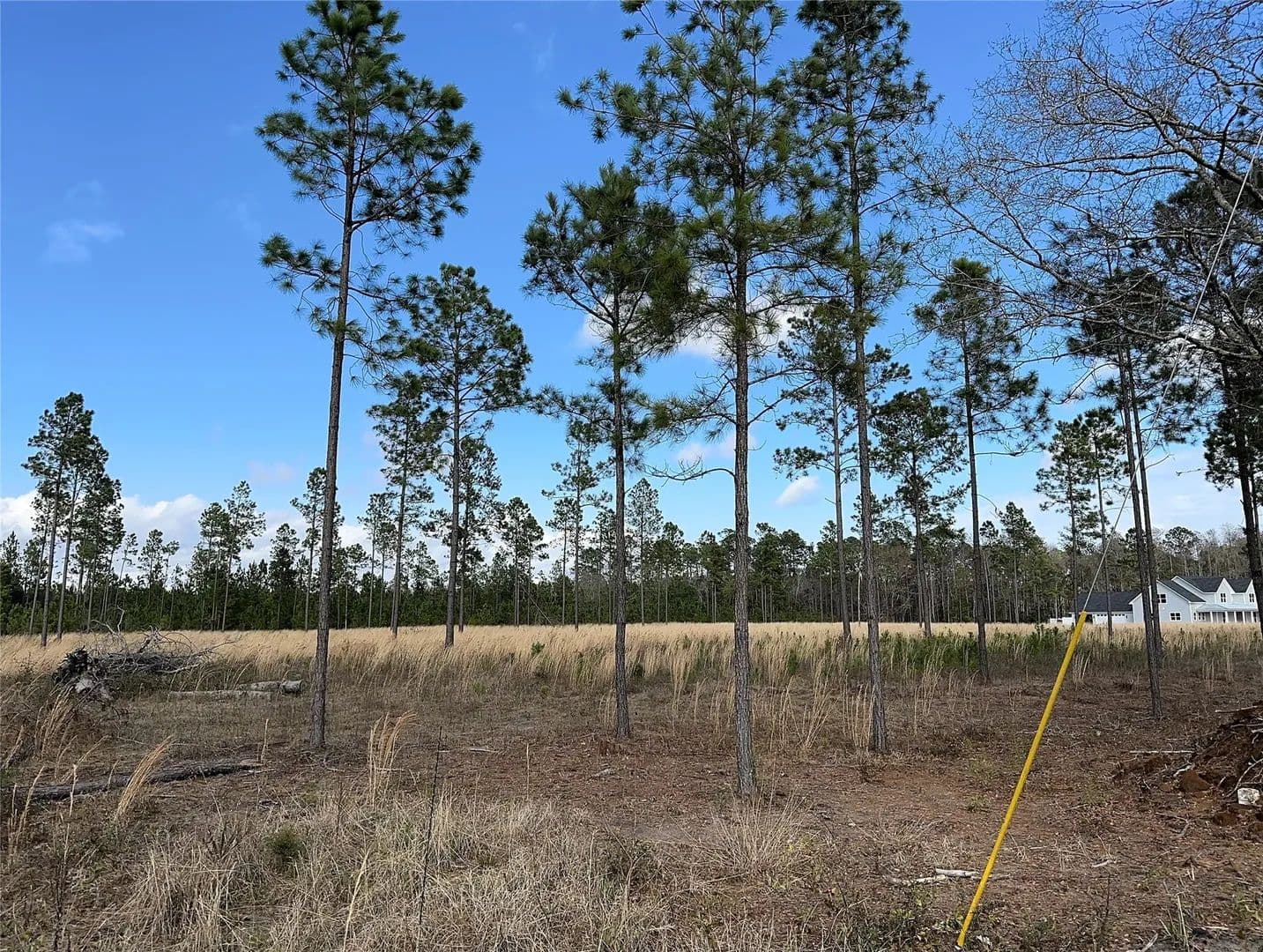 Vacant Land in Hilliard - Hilliard, Florida, 32046