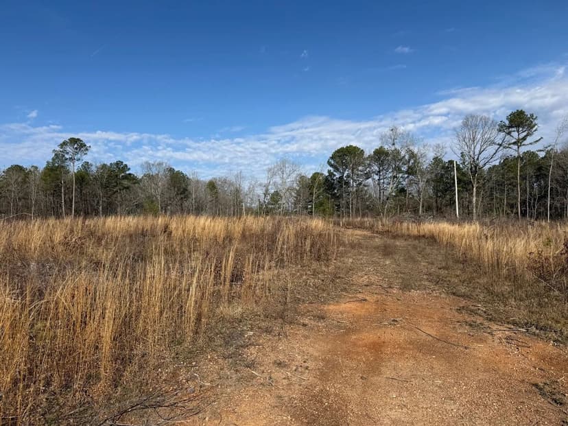 40+/- acres Sylacauga, AL