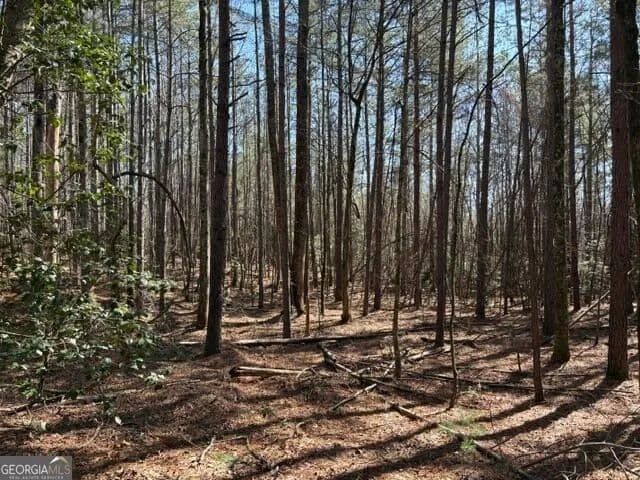 33.98 Acres of Land for Sale in Clarkesville, GA - Clarkesville, Georgia, 30523