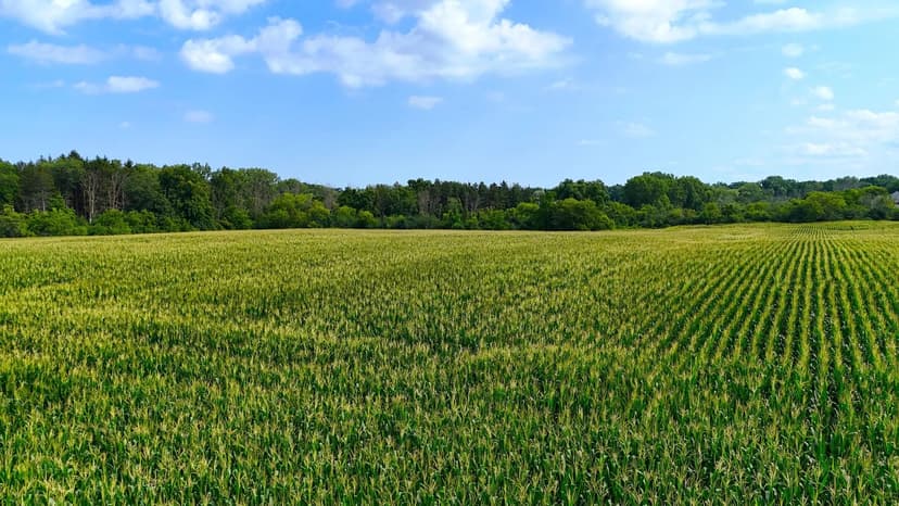 Vacant Land in Caledonia