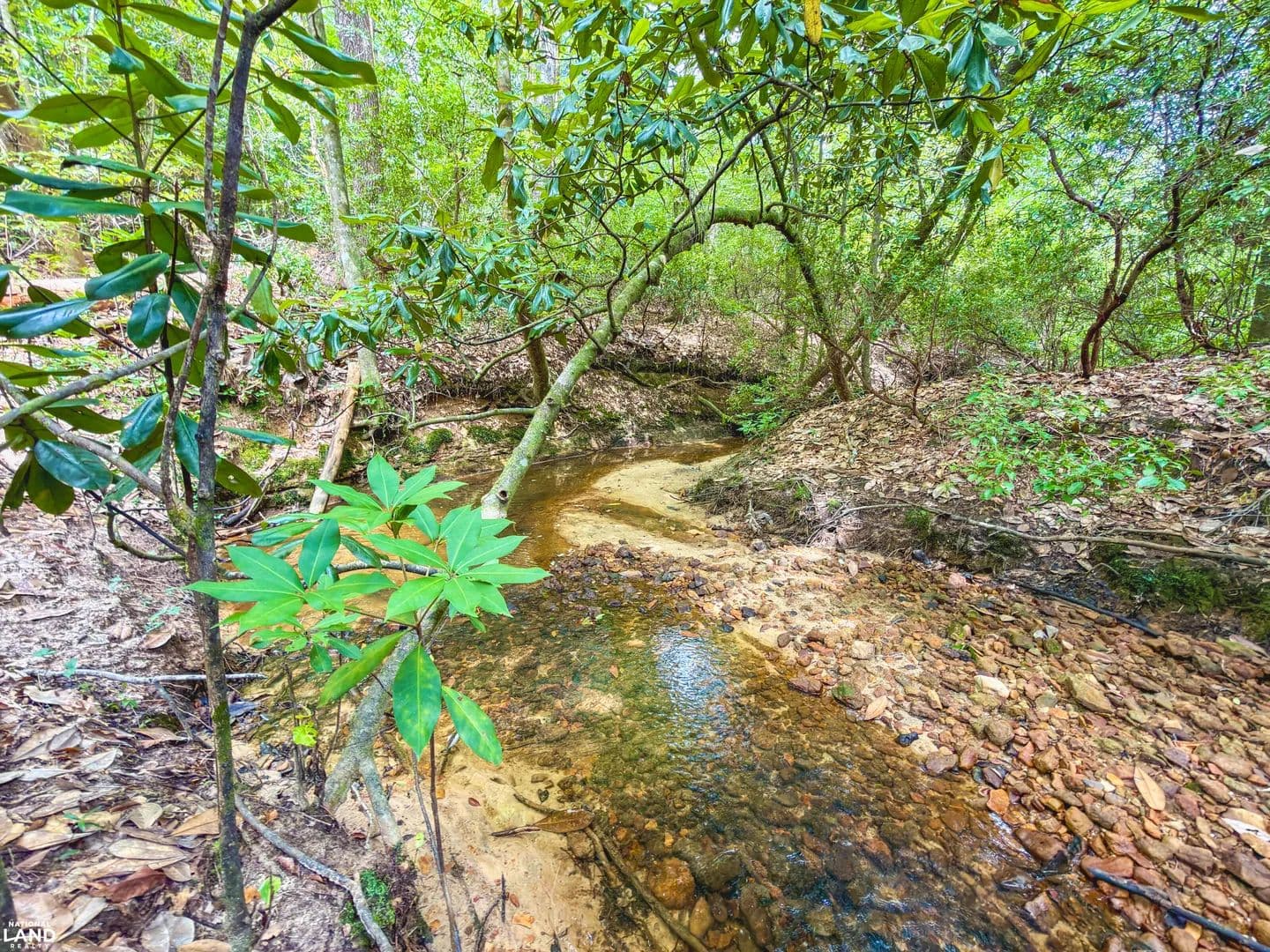 40-acre Choctaw County, Alabama Hunting, Timber, and Recreational - Toxey, Alabama, 36921