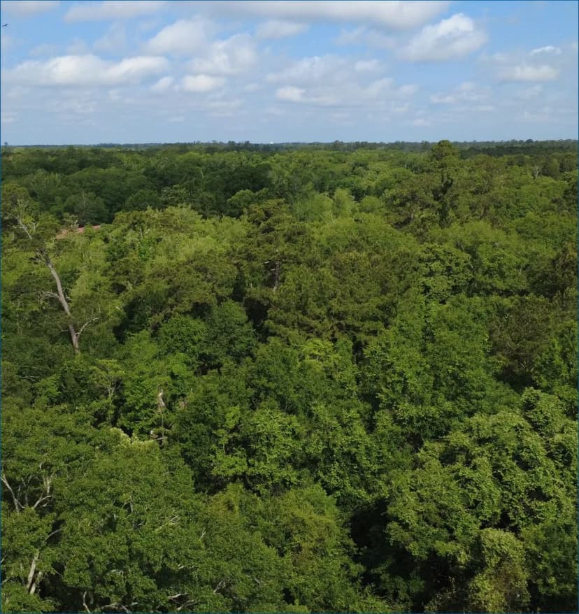 33.38 Acres in Tangipahoa Parish in Hammond, LA