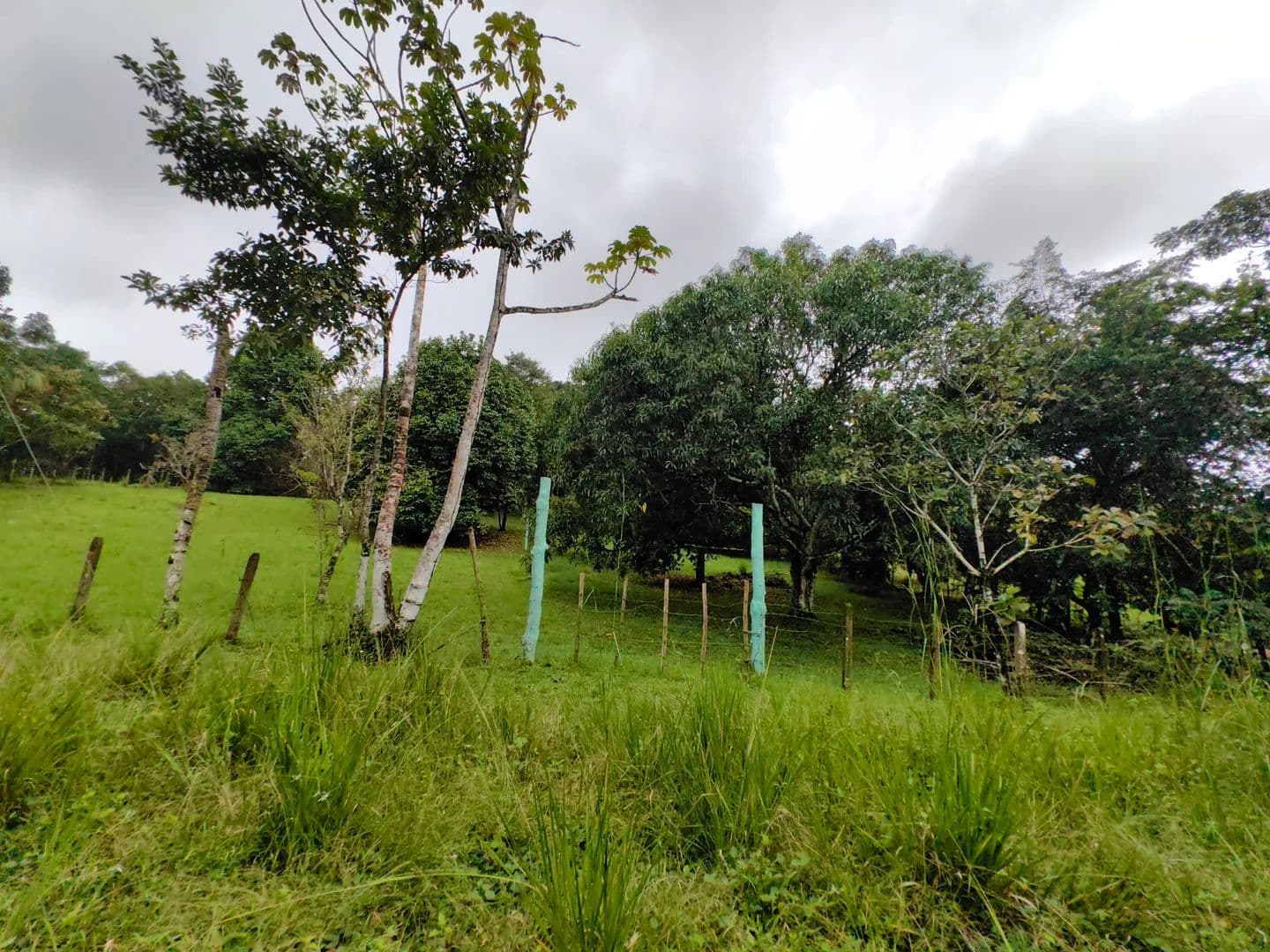Venta de Lote Esquinero en Fraccionamiento del Río Machuca de 2609m2 - land for sale
