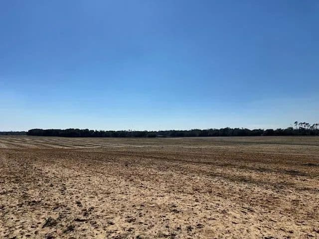 Lots & Land-Other in Donalsonville - Donalsonville, Georgia, 39845
