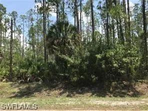 Vacant Land in Naples - Naples, Florida, 34117
