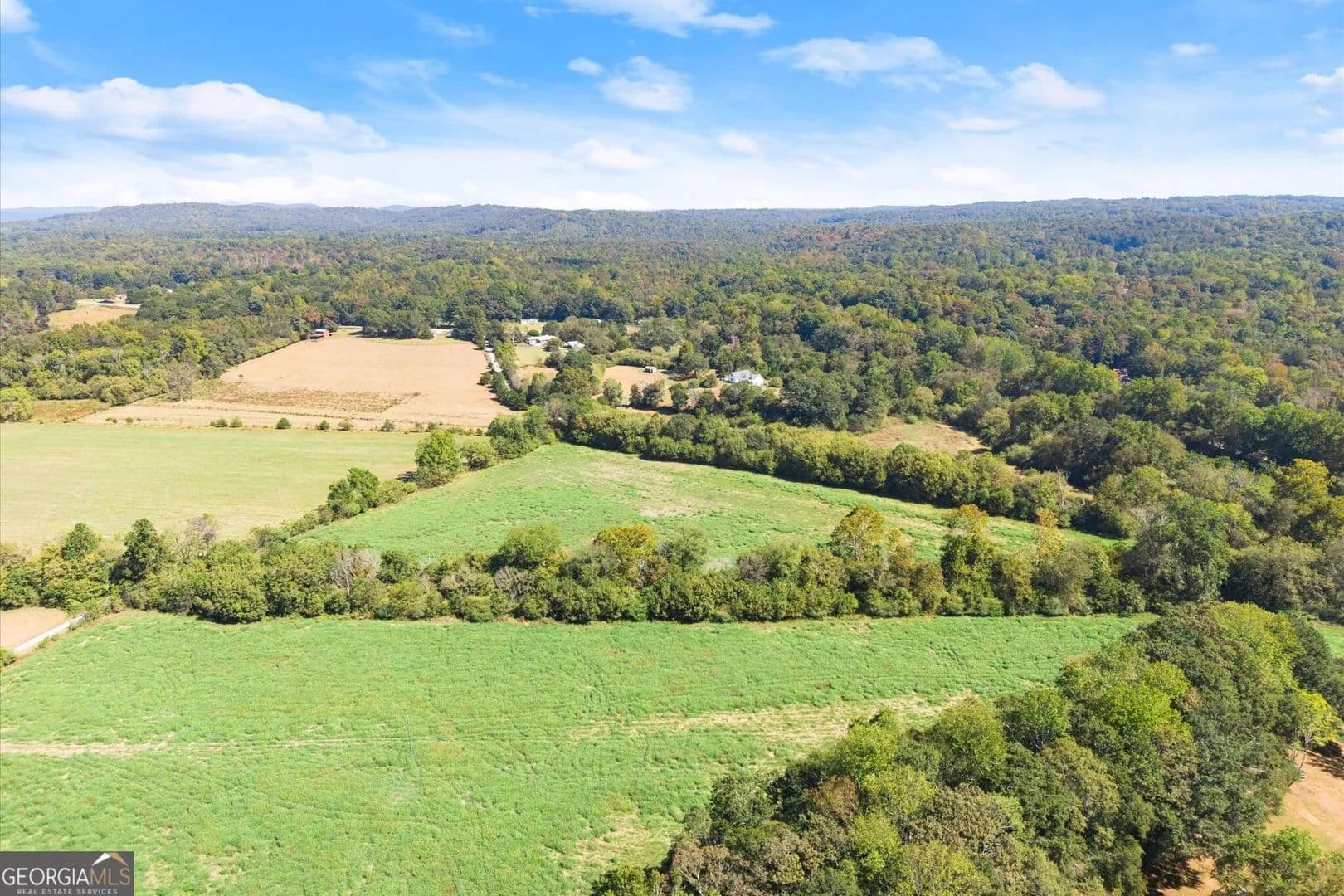 17.17 Acres of Land for Sale in Alto, GA - Alto, Georgia, 30510
