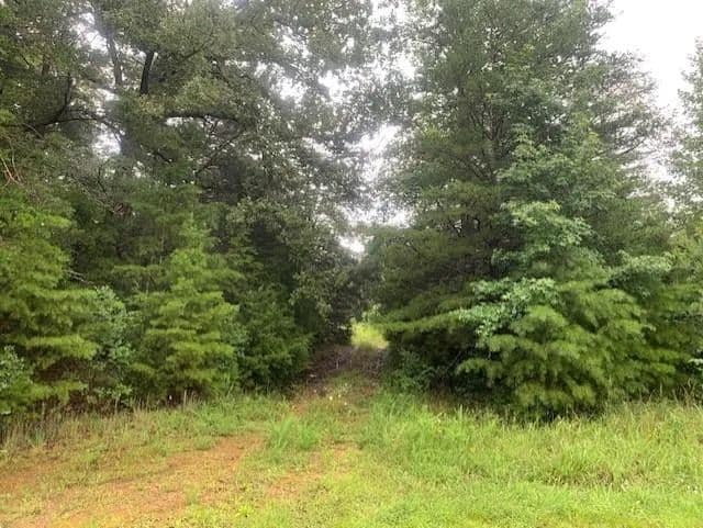 Lots & Land-Other in St. Charles - Kentucky, 42456