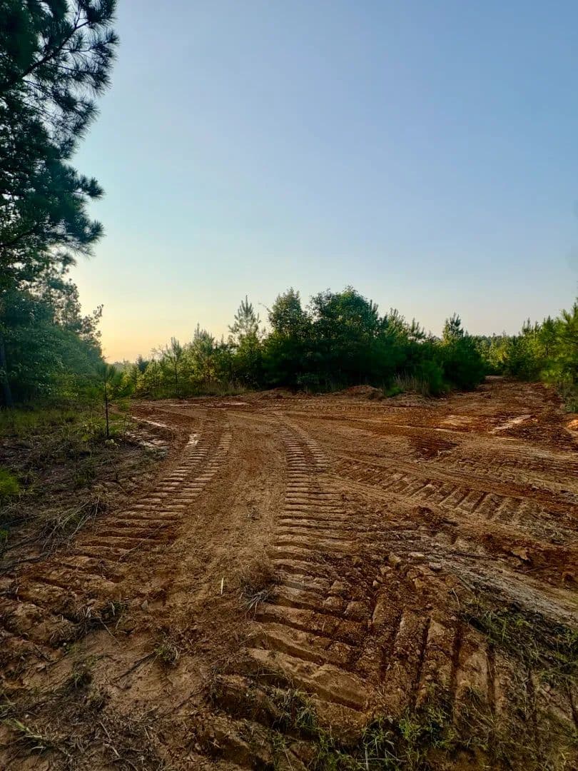 24 Acres in Choctaw County, MS  - Eupora, Mississippi, 39744