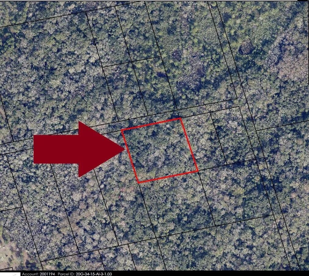 Vacant Land in Mims - Mims, Florida, 32754