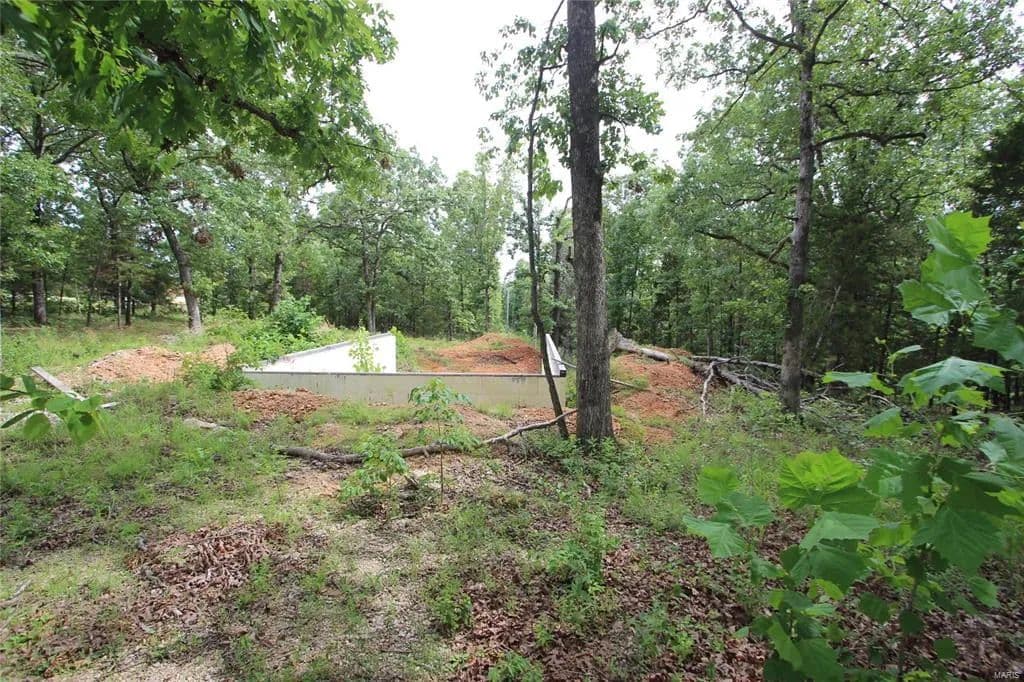 Vacant Land in Bonne Terre - Bonne Terre, Missouri, 63628