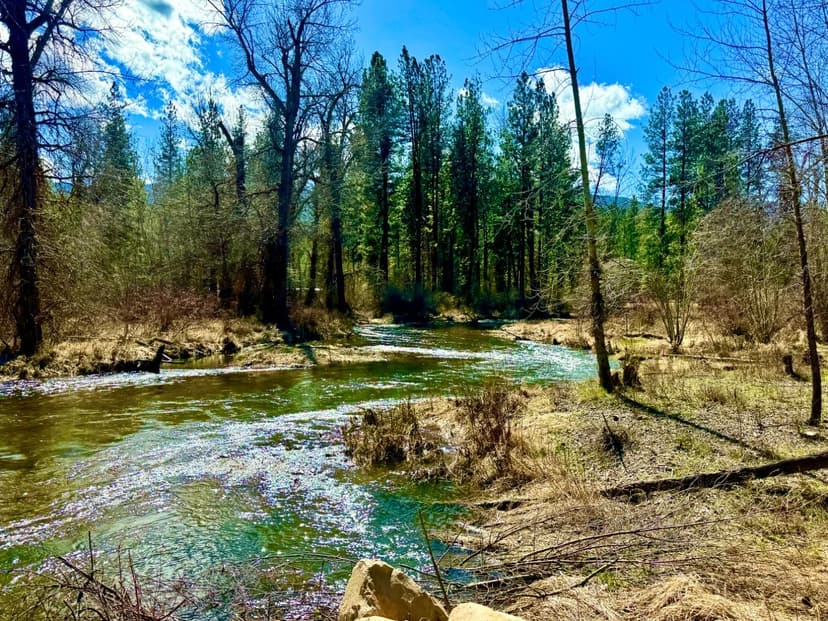 Nine Mile Creek Retreat