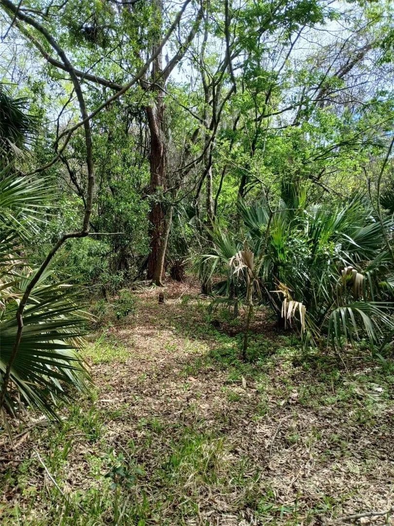 E Hubbard Avenue - land for sale