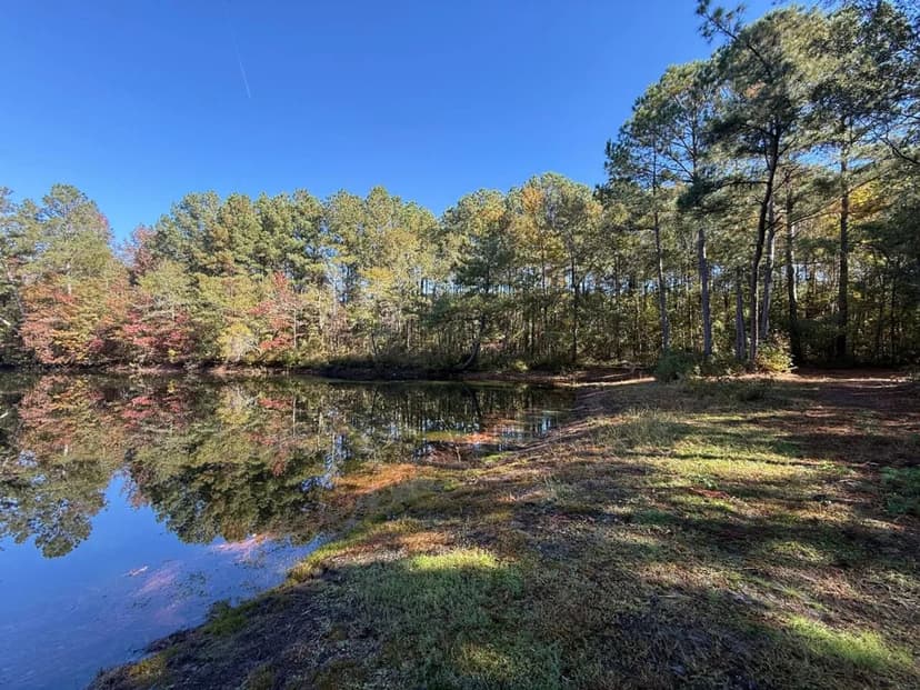 UNDER CONTRACT!!  49 Acres of Cropland, Ponds, Timber, and Potential Homesite for Sale in Robeson County NC!