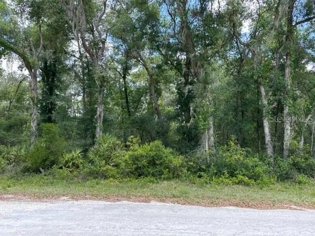 Lots & Land-Other in WEBSTER - Webster, Florida, 33597