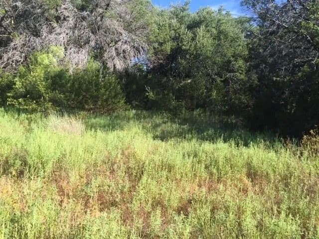 Land for Sale in Granbury, 802 Blackfoot Court - land for sale