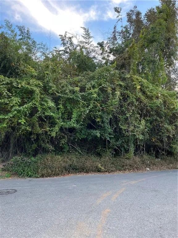 Vacant Land in Atlanta - Atlanta, Georgia, 30331