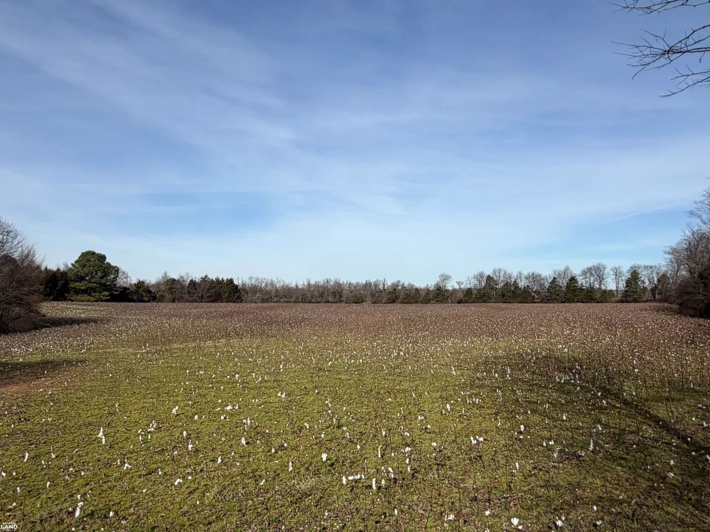 Salem Battlefield - Jackson, Tennessee, 38305