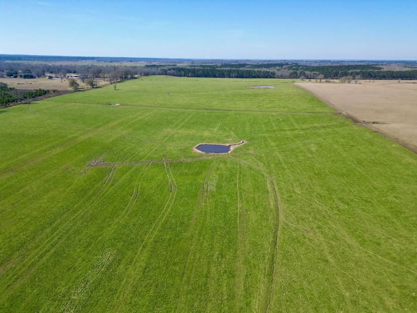 Cattle Farm for Sale in South Mississippi